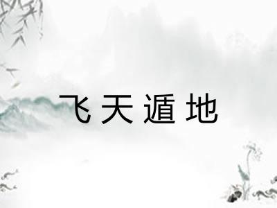 飞天遁地