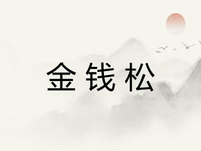 金钱松