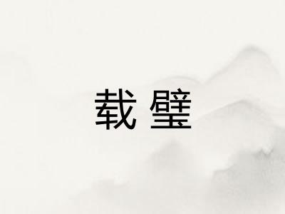 载璧