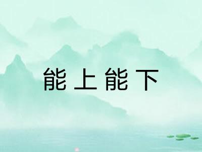 能上能下