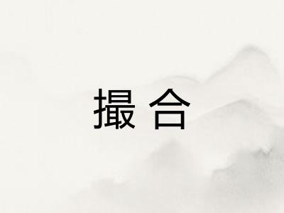 撮合