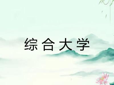 综合大学