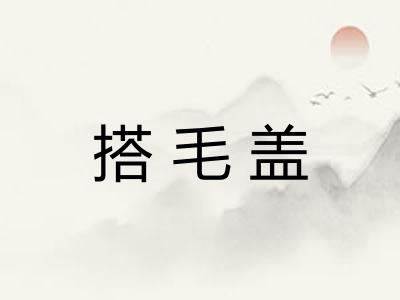 搭毛盖