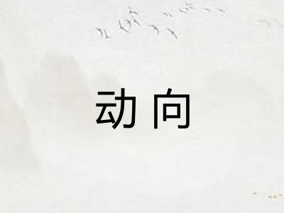 动向