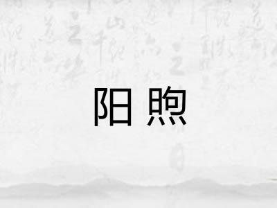 阳煦