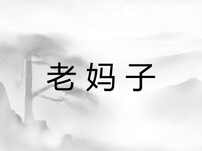 老妈子
