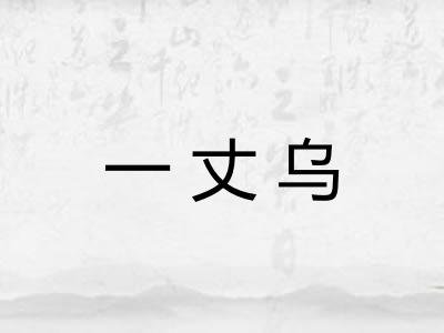 一丈乌
