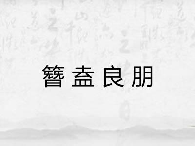 簪盍良朋
