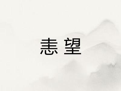 恚望