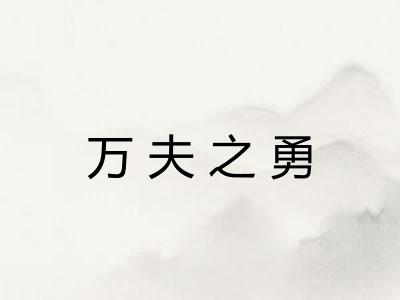 万夫之勇