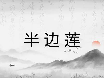 半边莲
