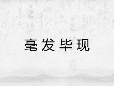 毫发毕现