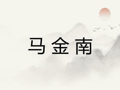 马金南