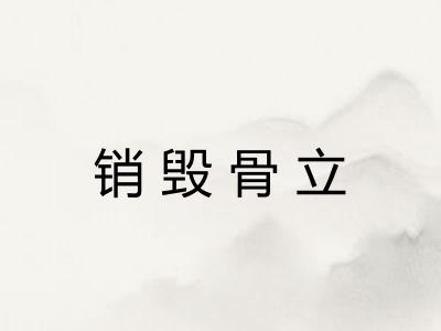 销毁骨立