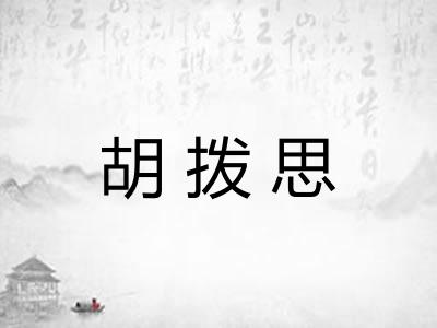 胡拨思