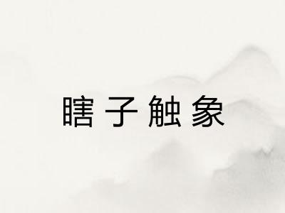 瞎子触象
