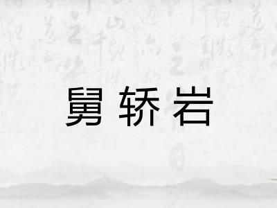 舅轿岩
