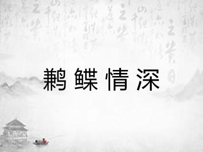 鹣鲽情深