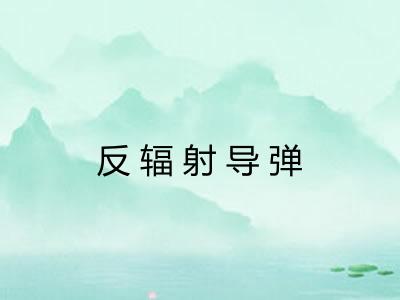 反辐射导弹