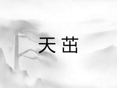天茁
