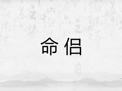 命侣