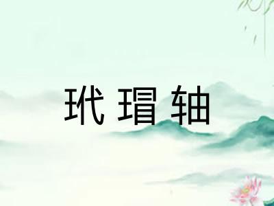 玳瑁轴