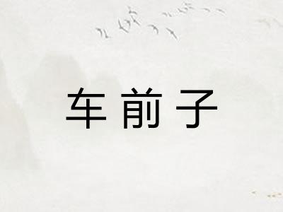车前子