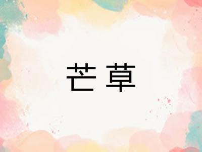 芒草