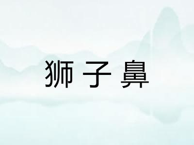狮子鼻