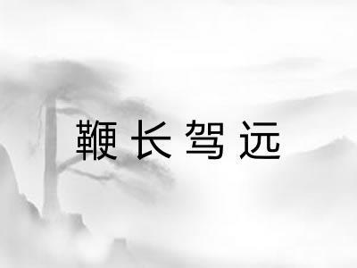 鞭长驾远