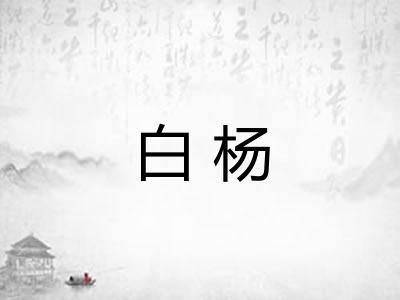 白杨