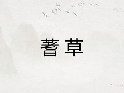 蓍草