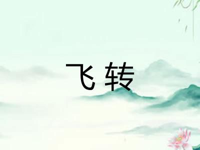飞转