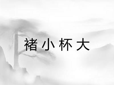 褚小杯大