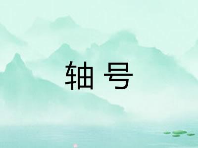 轴号