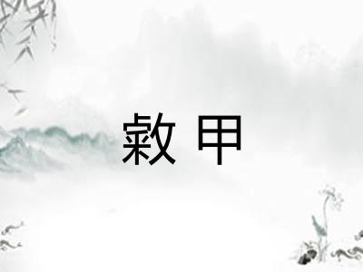 敹甲