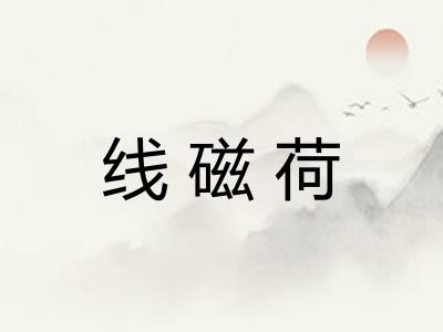 线磁荷