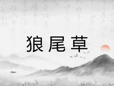 狼尾草
