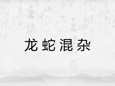 龙蛇混杂