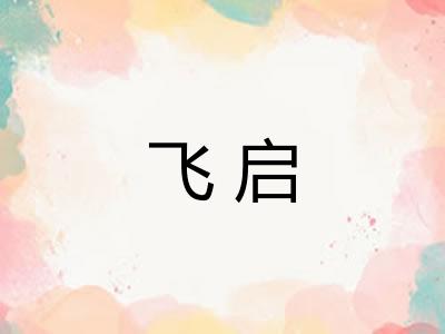 飞启