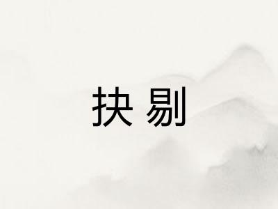 抉剔