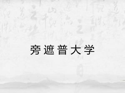旁遮普大学