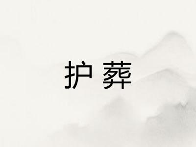 护葬