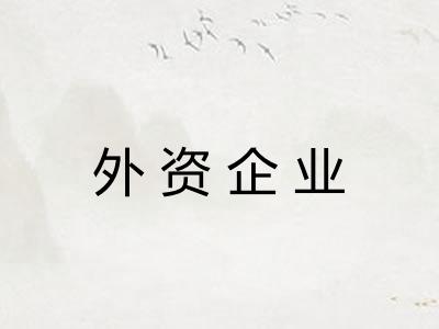 外资企业