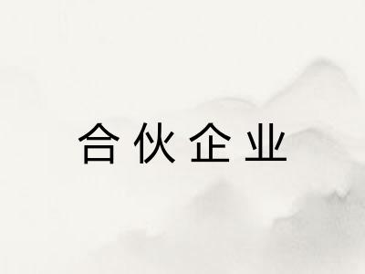 合伙企业