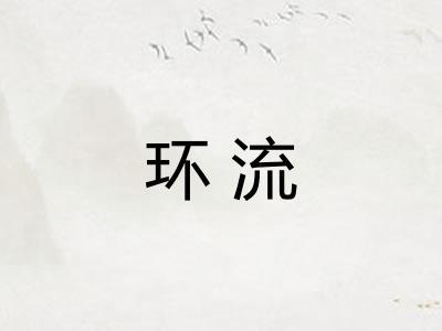 环流