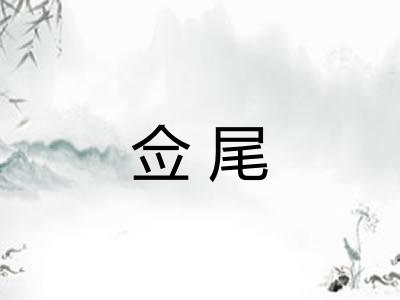 佥尾