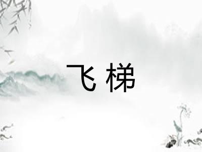 飞梯