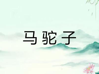 马驼子