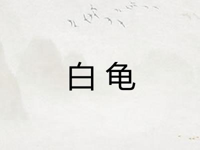 白龟